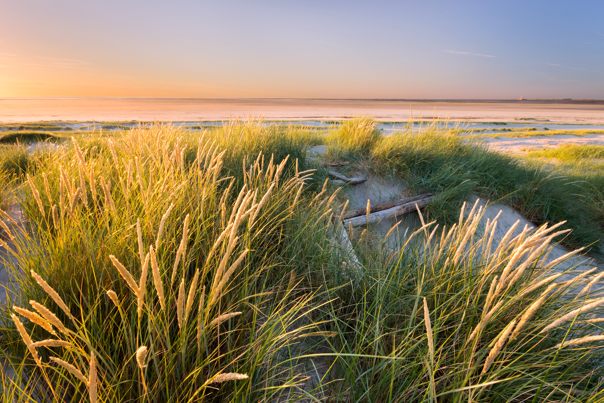 Nationalpark Wattenmeer SH c Schnabler LKN SH